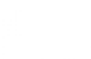 Fernanda Nogueira Azzi